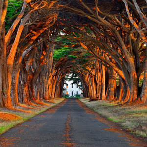 日本j护士极品少妇和狗Z0Z0
